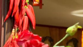 VIDEO Începe Anul Nou Chinezesc cel al șarpelui de lemn. Ce spune tradiția asiatică